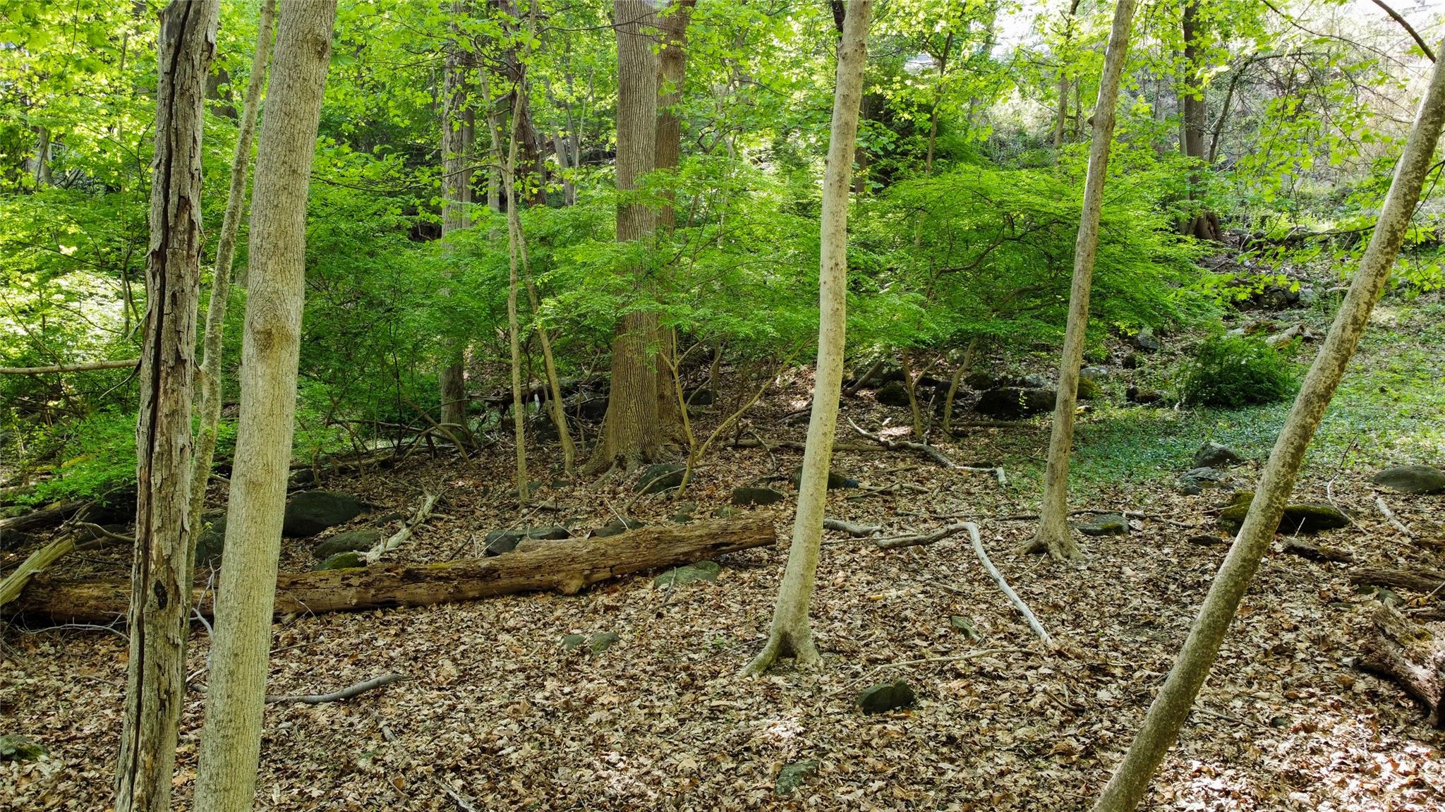 #9 photo, 38 Nordica Drive, Croton-on-Hudson , NY 10520