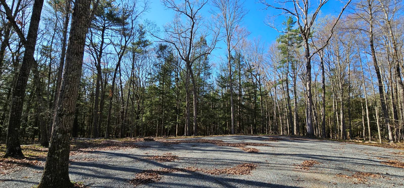 #2 photo, Lot 85 Perry Pond Road, Narrowsburg , NY 12764