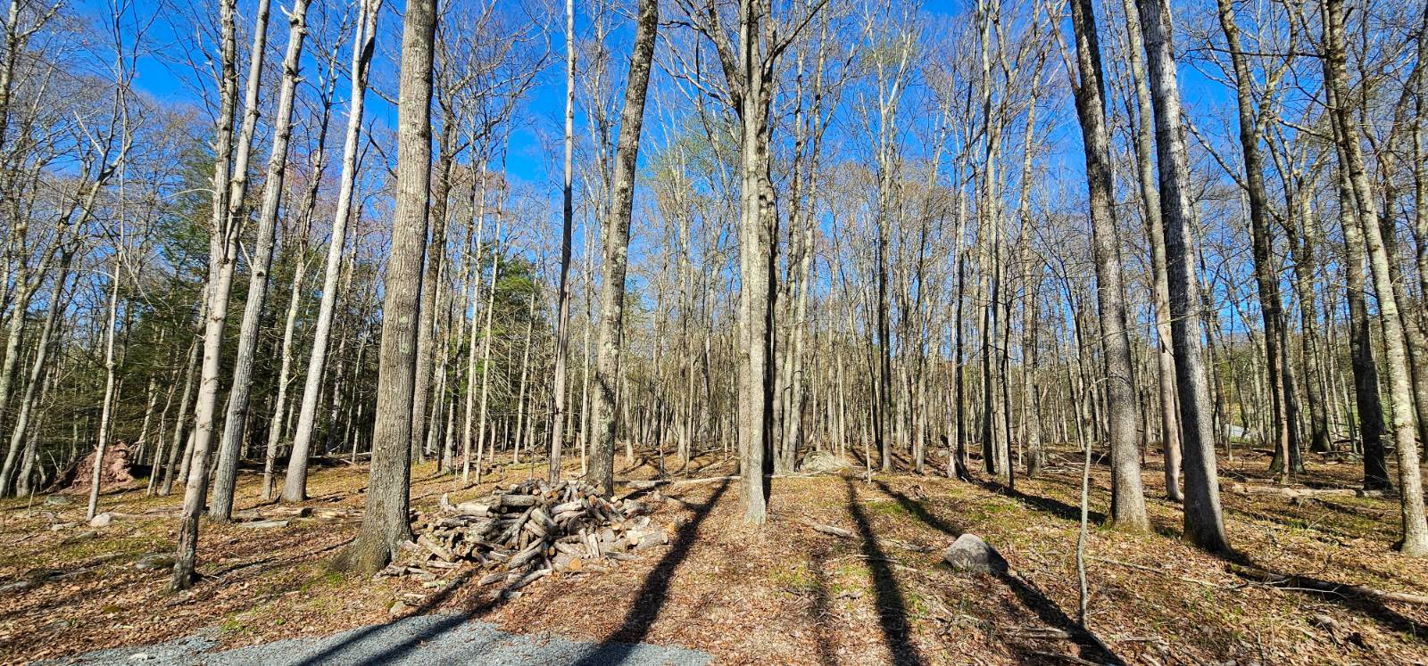 #3 photo, Lot 85 Perry Pond Road, Narrowsburg , NY 12764