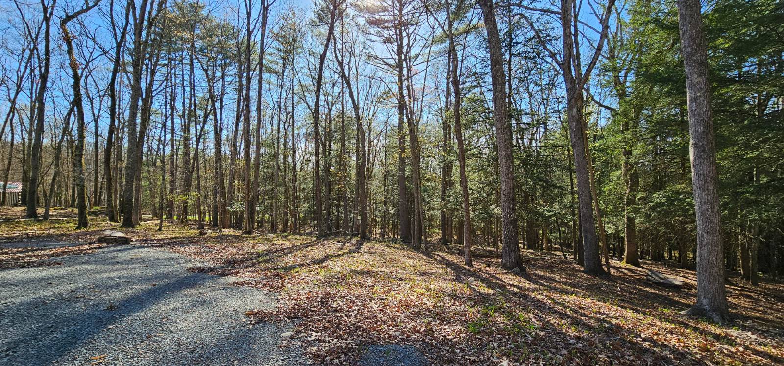 #5 photo, Lot 85 Perry Pond Road, Narrowsburg , NY 12764