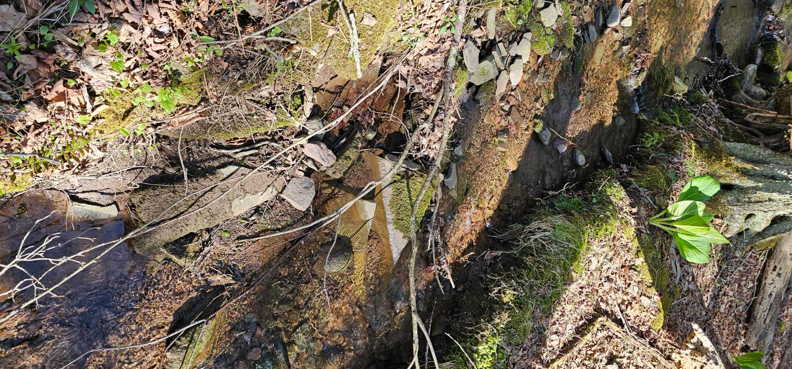 #7 photo, Lot 85 Perry Pond Road, Narrowsburg , NY 12764