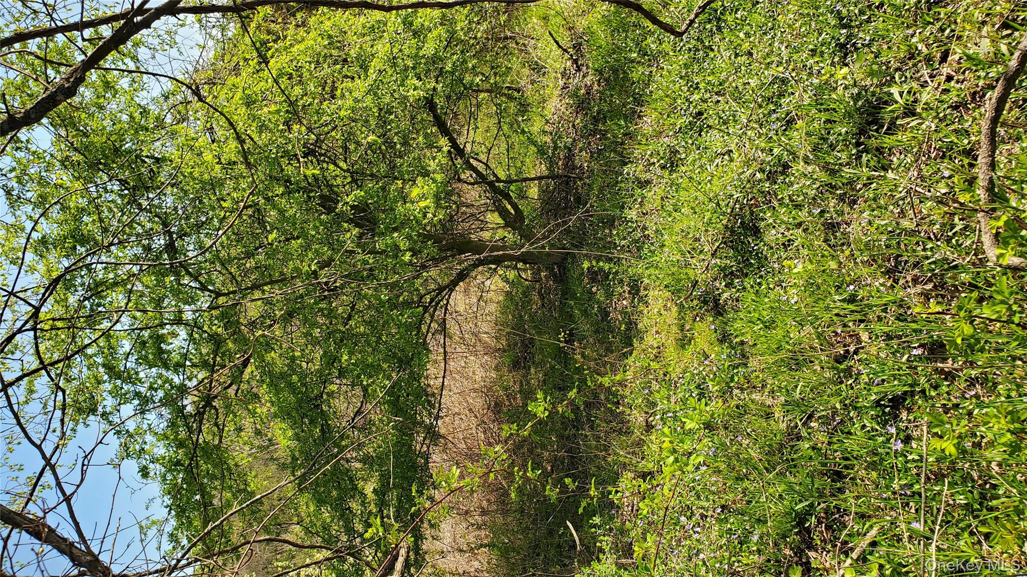 #2 photo, TBD Boice Mill Road, Kerhonkson , NY 12446