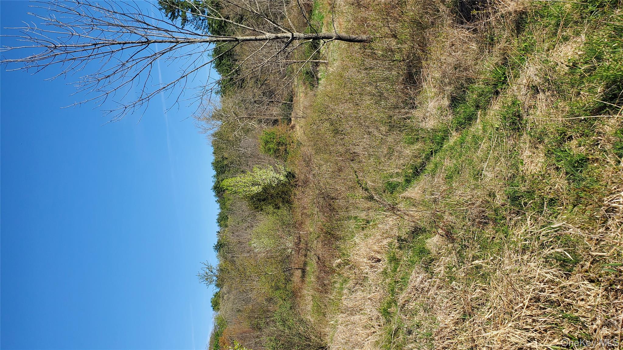 #3 photo, TBD Boice Mill Road, Kerhonkson , NY 12446