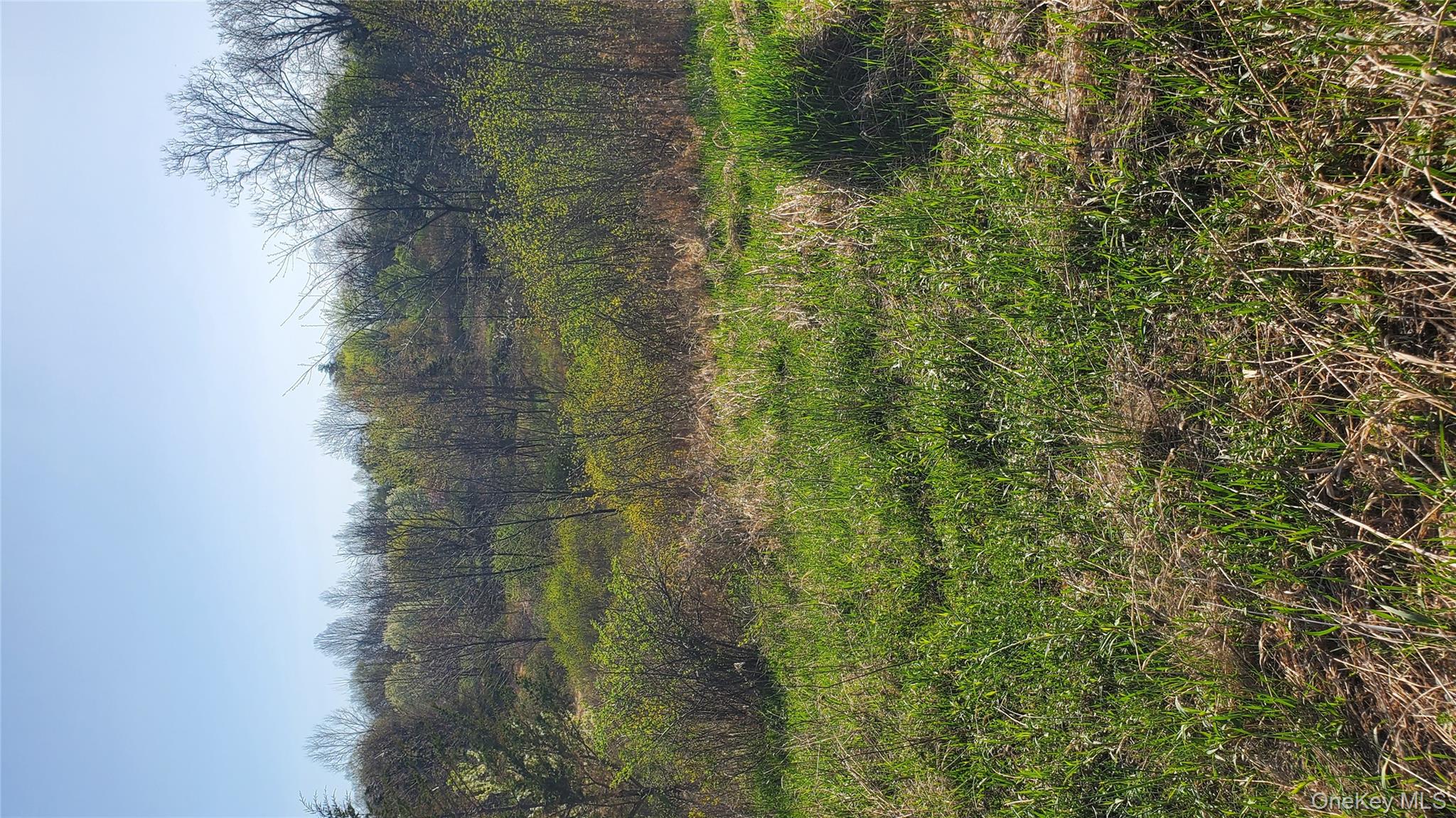 #5 photo, TBD Boice Mill Road, Kerhonkson , NY 12446