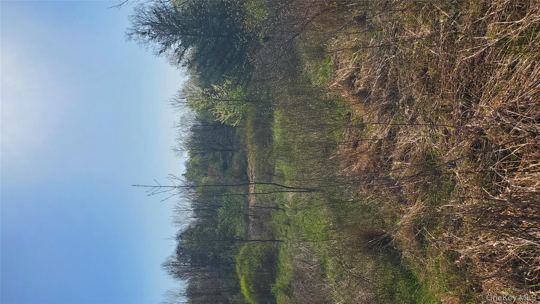 #6 photo, TBD Boice Mill Road, Kerhonkson , NY 12446