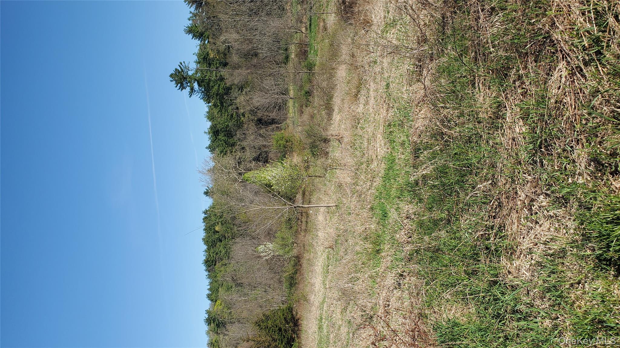 #7 photo, TBD Boice Mill Road, Kerhonkson , NY 12446