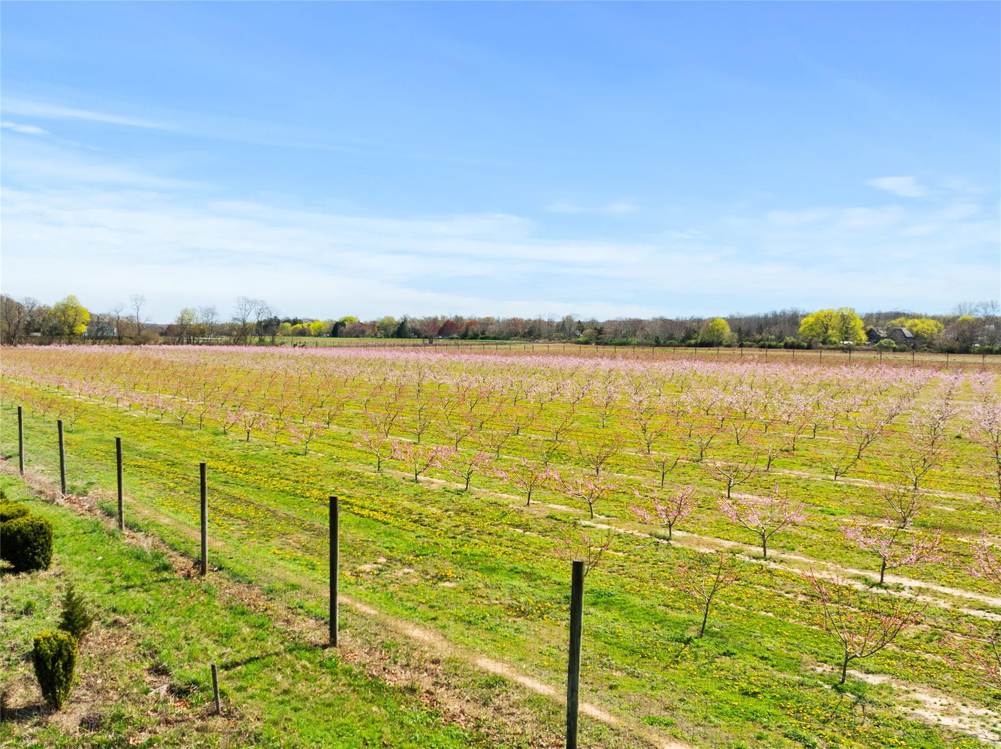 #10 photo, 1705 & 1709 Main Road, サフォーク郡 Jamesport , NY 11947