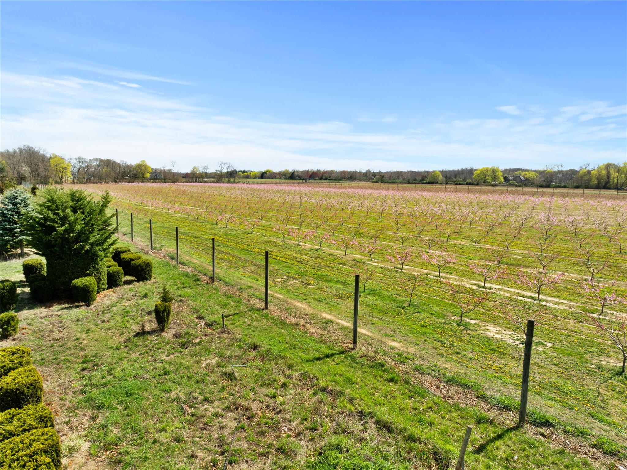 #9 photo, 1705 & 1709 Main Road, サフォーク郡 Jamesport , NY 11947