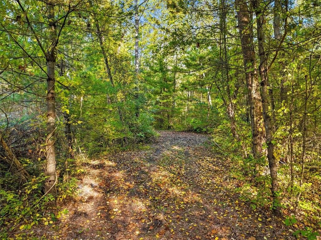 #12 photo, 4888 Albany Post Road, Staatsburg , NY 12538