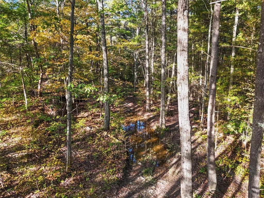 #16 photo, 4888 Albany Post Road, Staatsburg , NY 12538