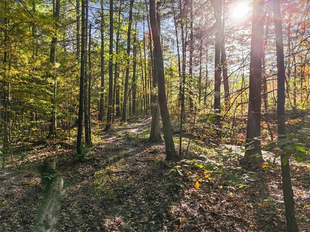 #17 photo, 4888 Albany Post Road, Staatsburg , NY 12538