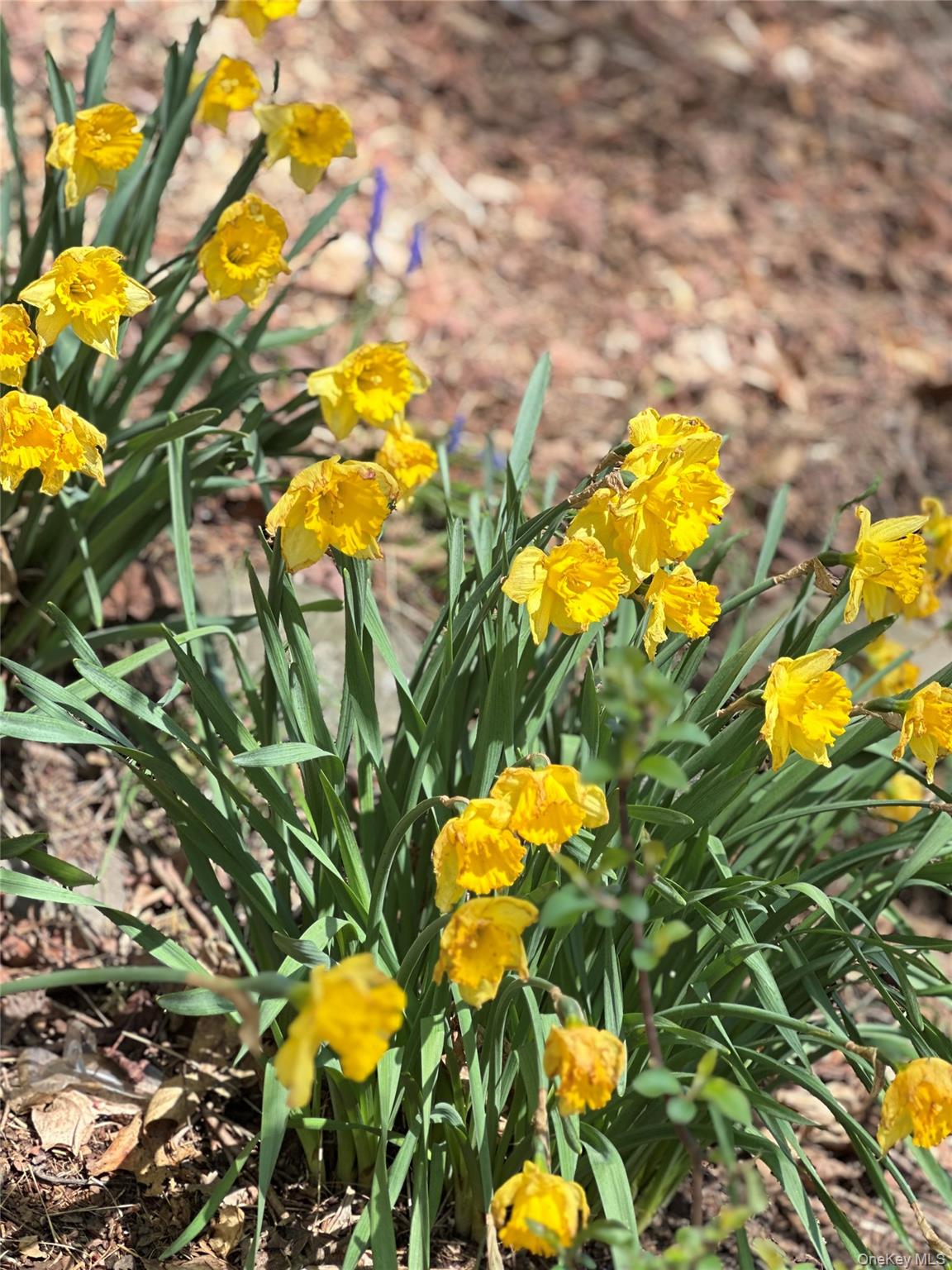 #4 photo, 10 Upper Ferndale Road, Liberty , NY 12754