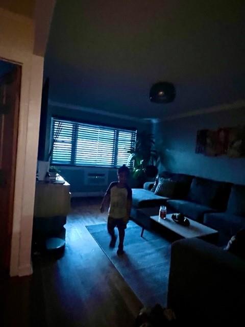 #11 photo, 3231 Grace Avenue, ブロンクス区 Bronx , NY 10469