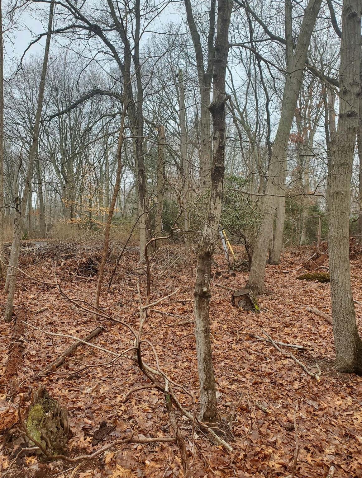 #1 photo, 8 Steep Bank Road, Saint James , NY 11780