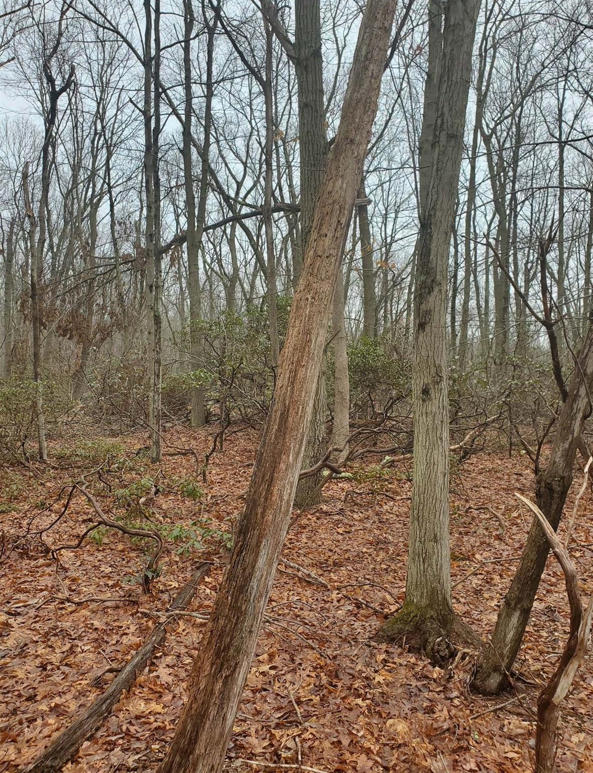 #2 photo, 8 Steep Bank Road, サフォーク郡 Saint James , NY 11780