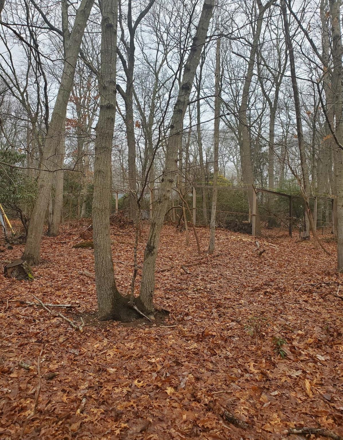 #4 photo, 8 Steep Bank Road, サフォーク郡 Saint James , NY 11780