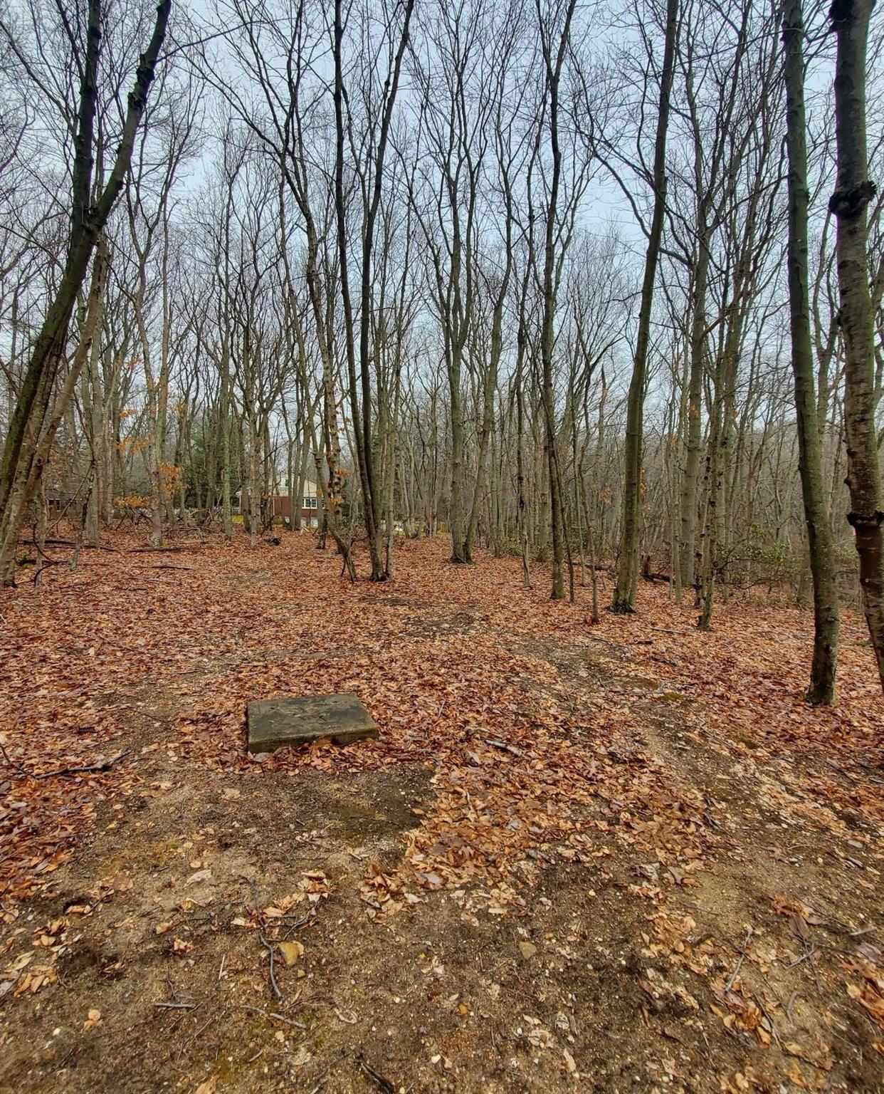 #3 photo, 260 Old Mill Road, サフォーク郡 Saint James , NY 11780