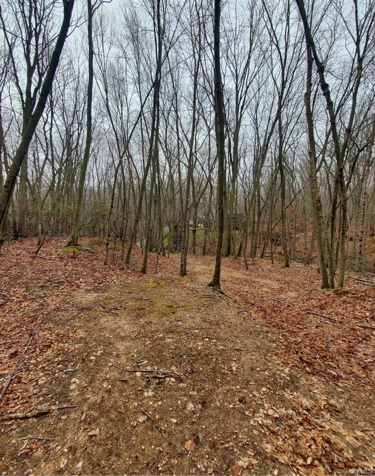 #5 photo, 260 Old Mill Road, 東長島 圣占士 Saint James , NY 11780