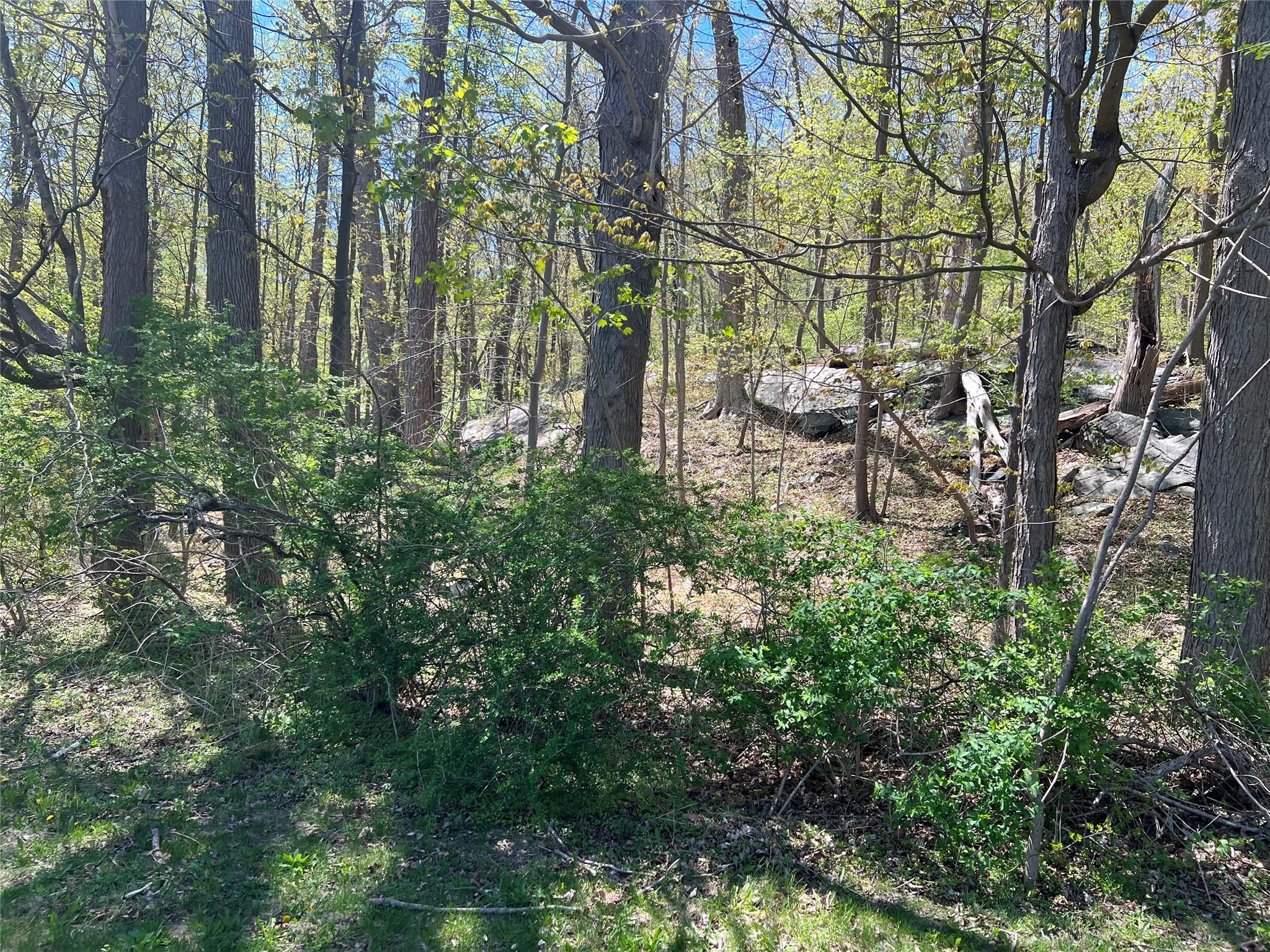 #4 photo, Stevens Lane, Tuxedo Park , NY 10987