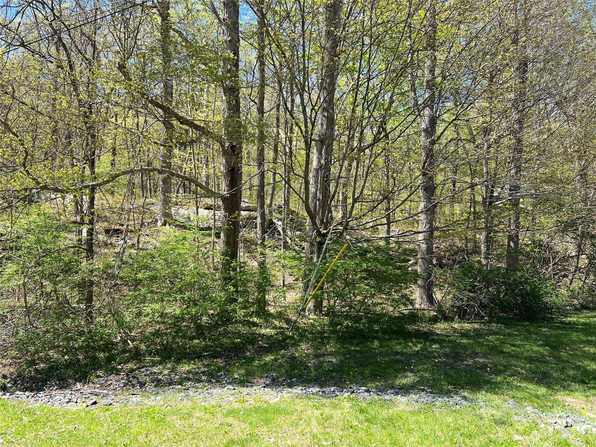 #5 photo, Stevens Lane, Tuxedo Park , NY 10987