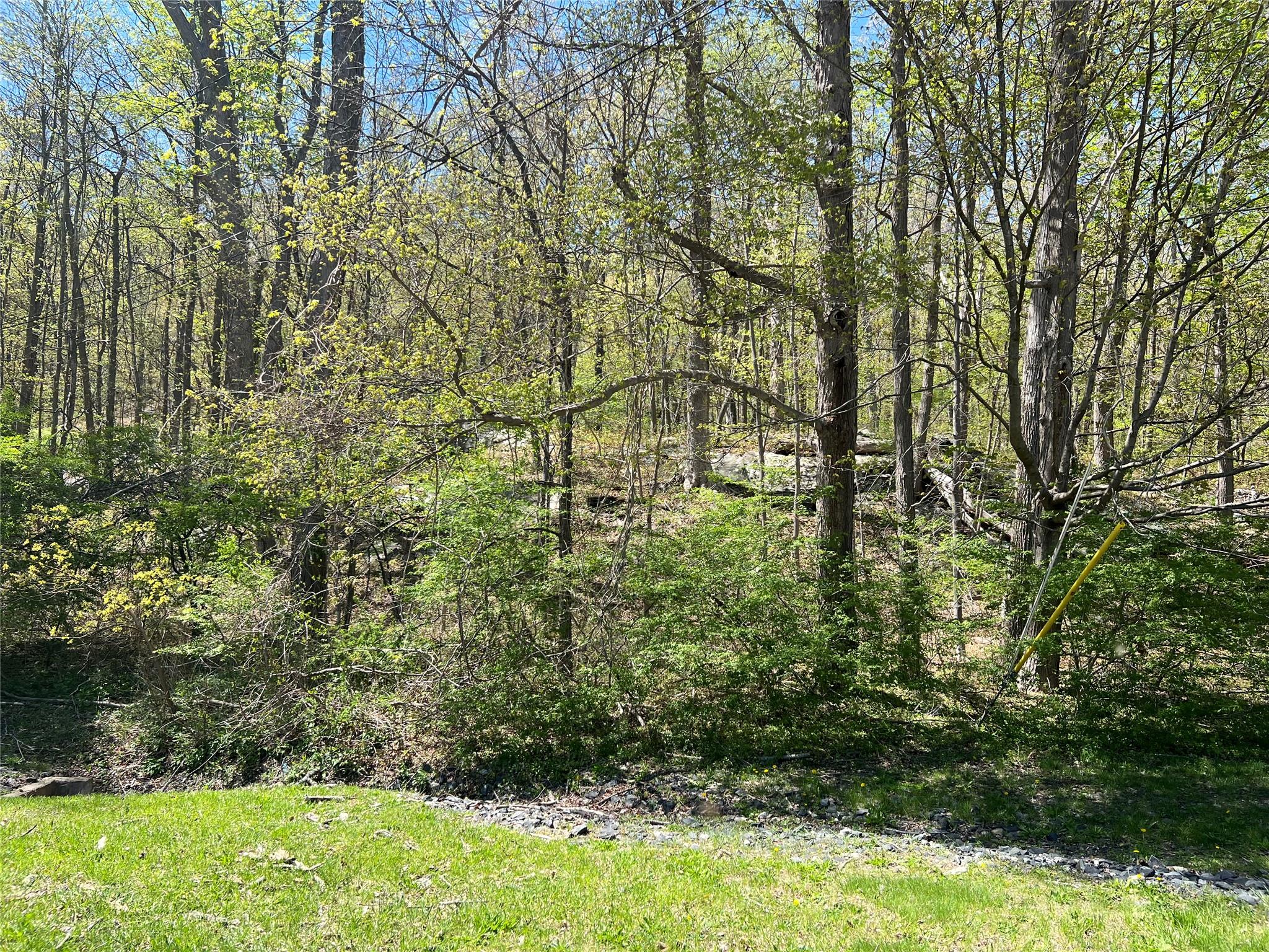 #6 photo, Stevens Lane, Tuxedo Park , NY 10987