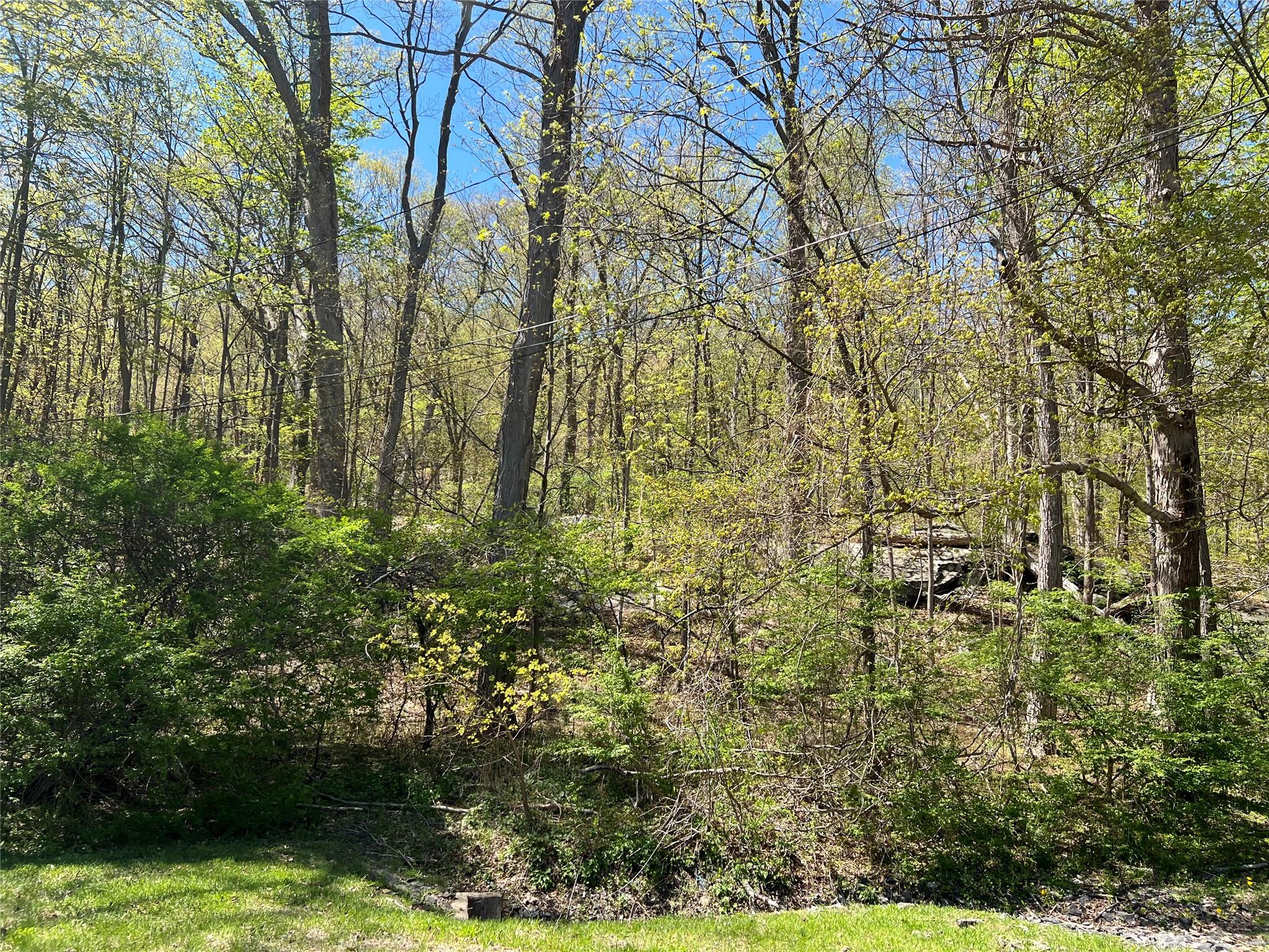 #7 photo, Stevens Lane, Tuxedo Park , NY 10987