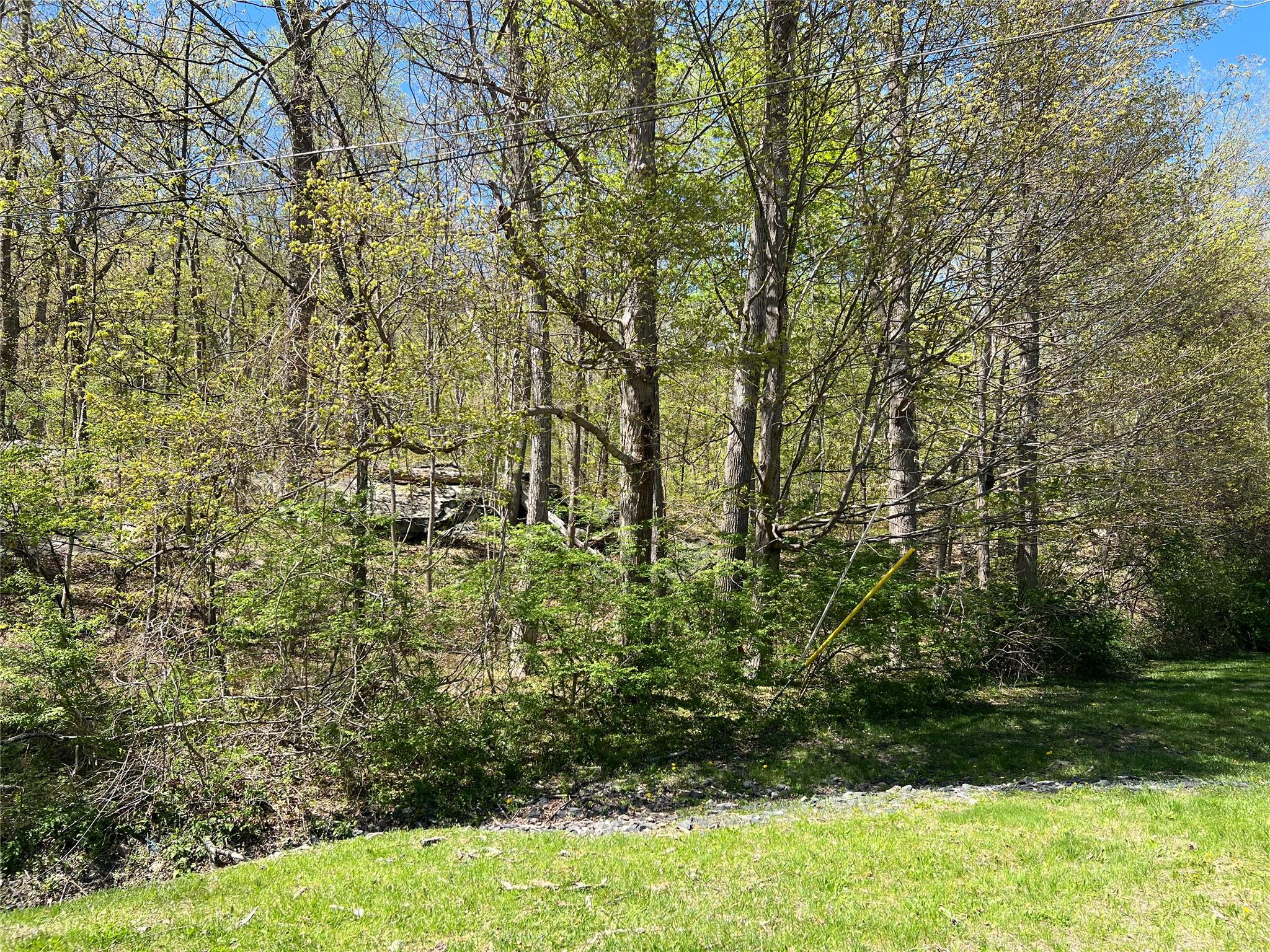 #8 photo, Stevens Lane, Tuxedo Park , NY 10987