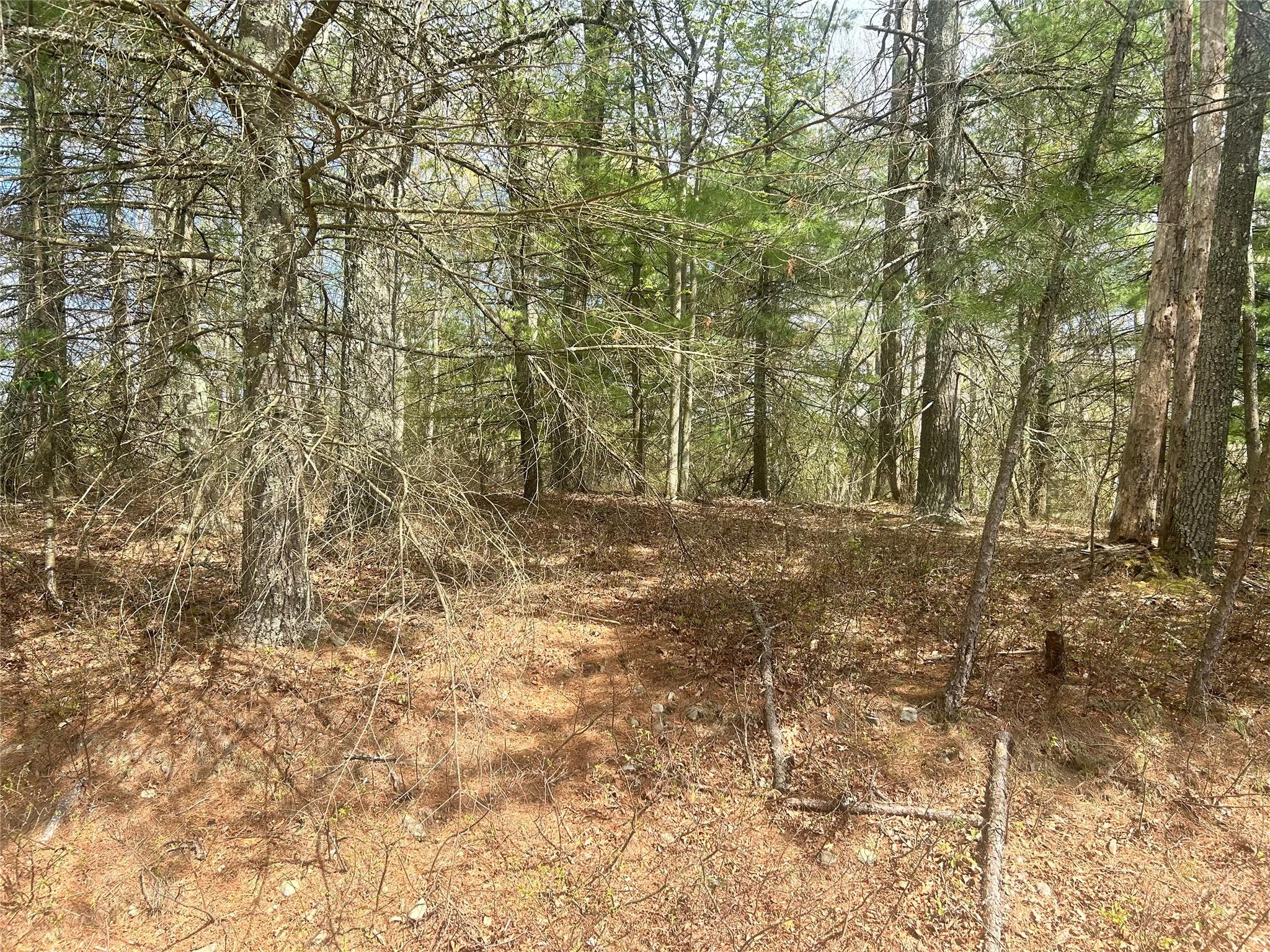 #1 photo, Willow Lane, 紐約州 Glen Spey , NY 12737