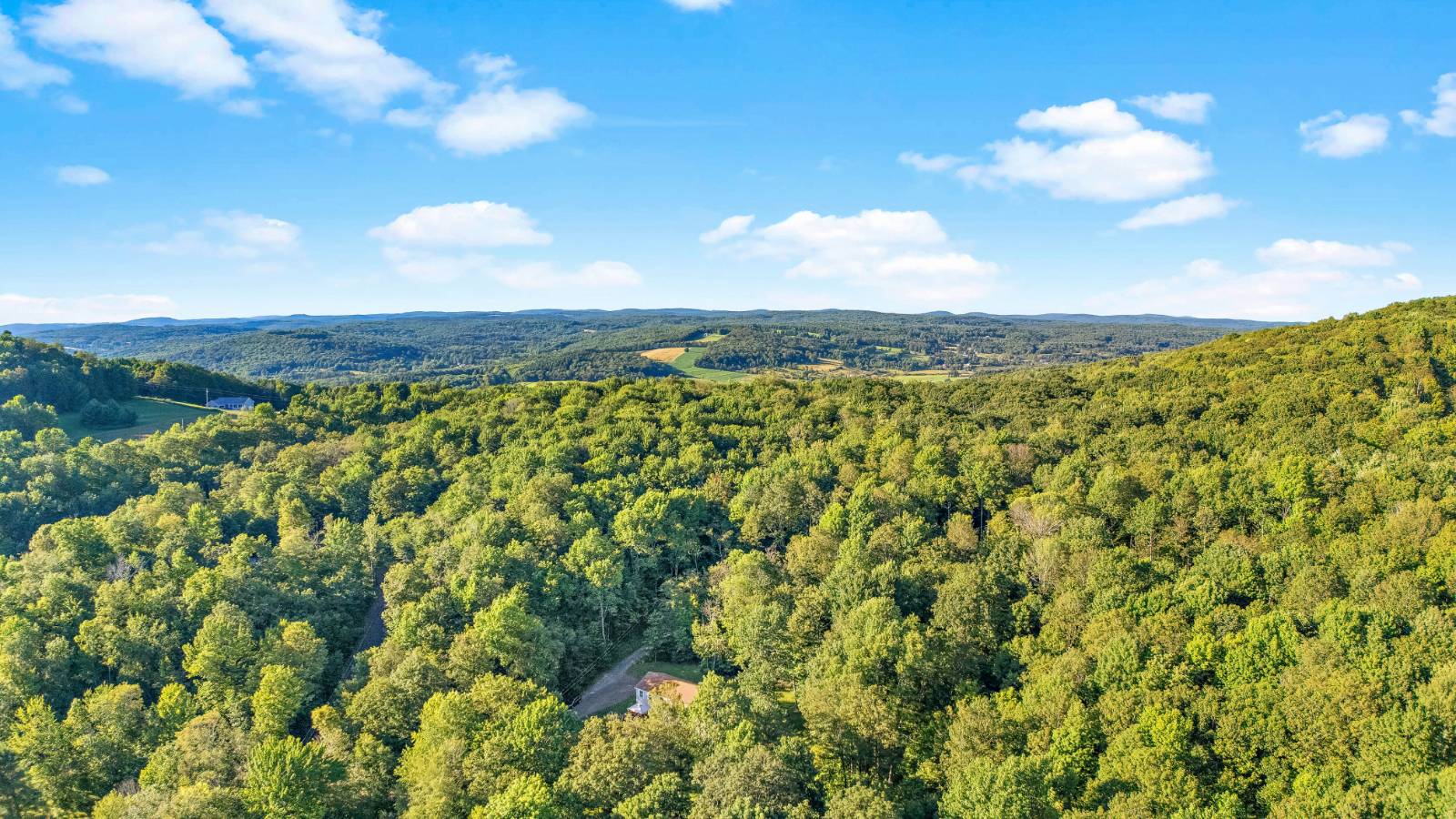 #10 photo, 158 Easy St, Jefferson , NY 12167