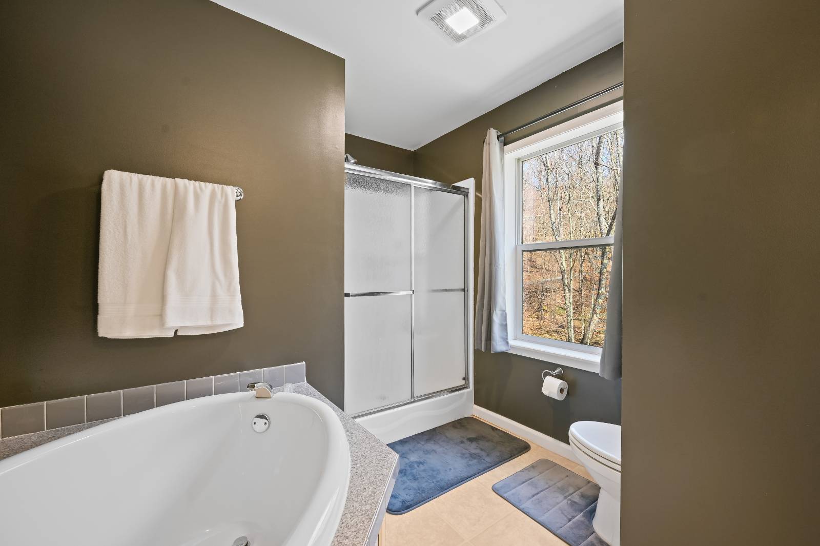 #48 photo, 158 Easy St, Jefferson , NY 12167