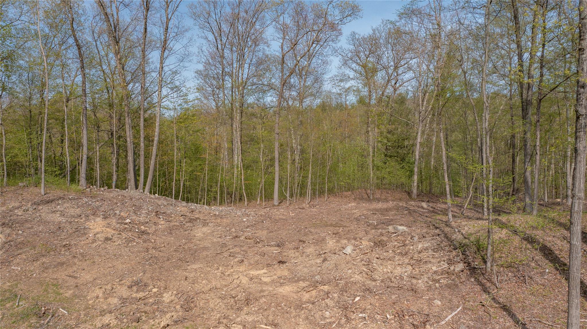 #17 photo, Feller Newmark Road, Red Hook , NY 12571