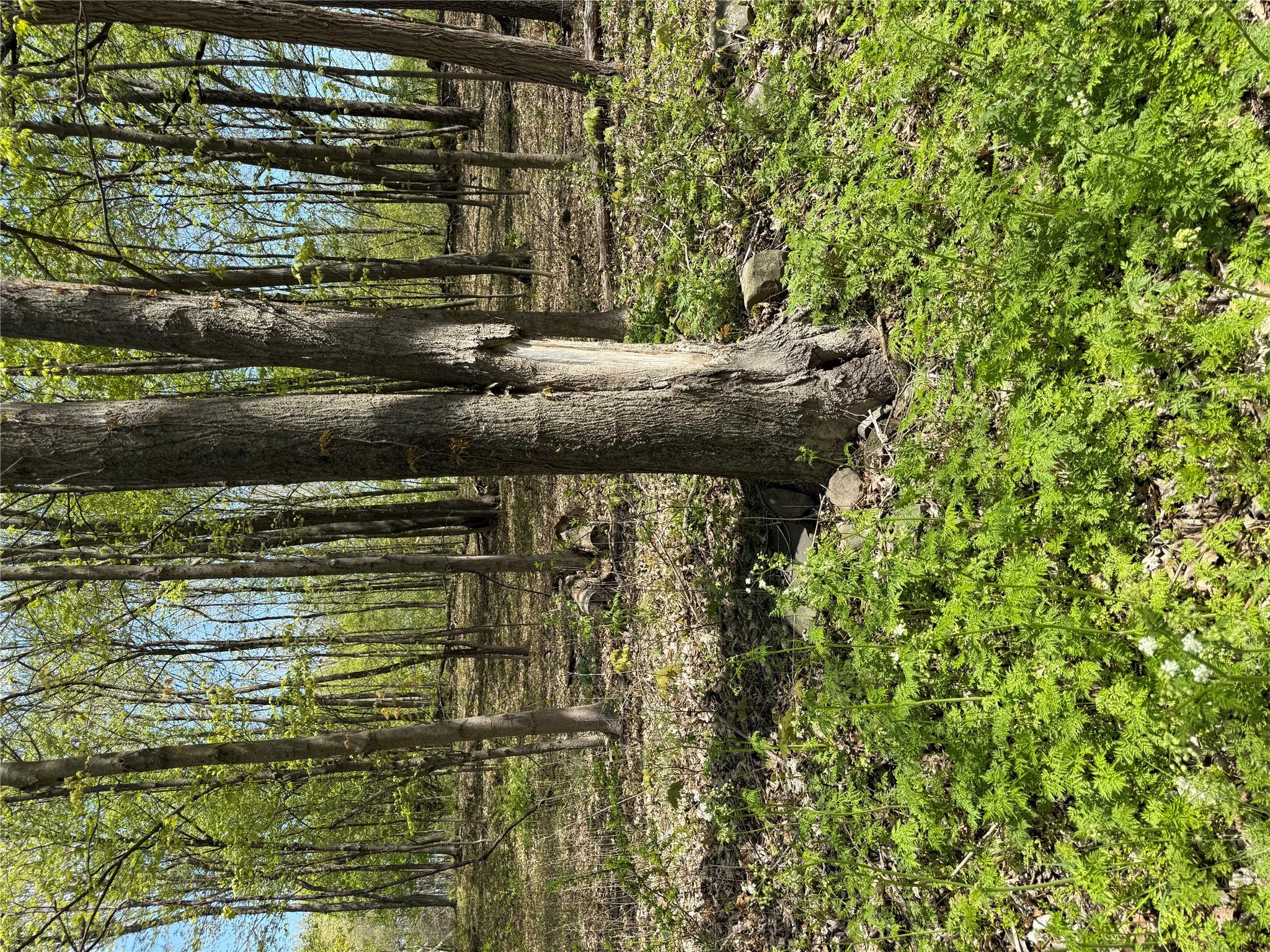 #2 photo, 120 Floyd Ackert Road, Esopus , NY 12493