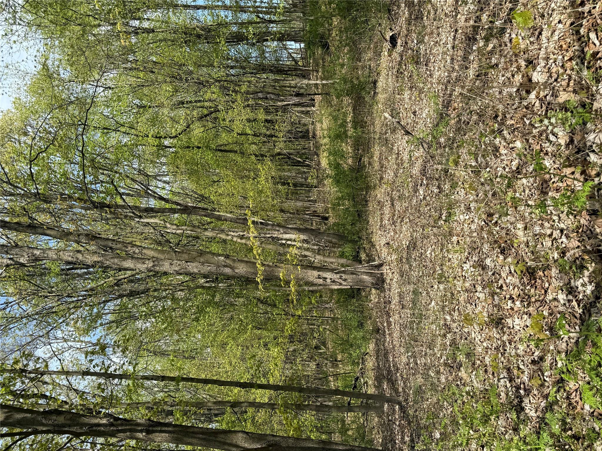 #3 photo, 120 Floyd Ackert Road, Esopus , NY 12493