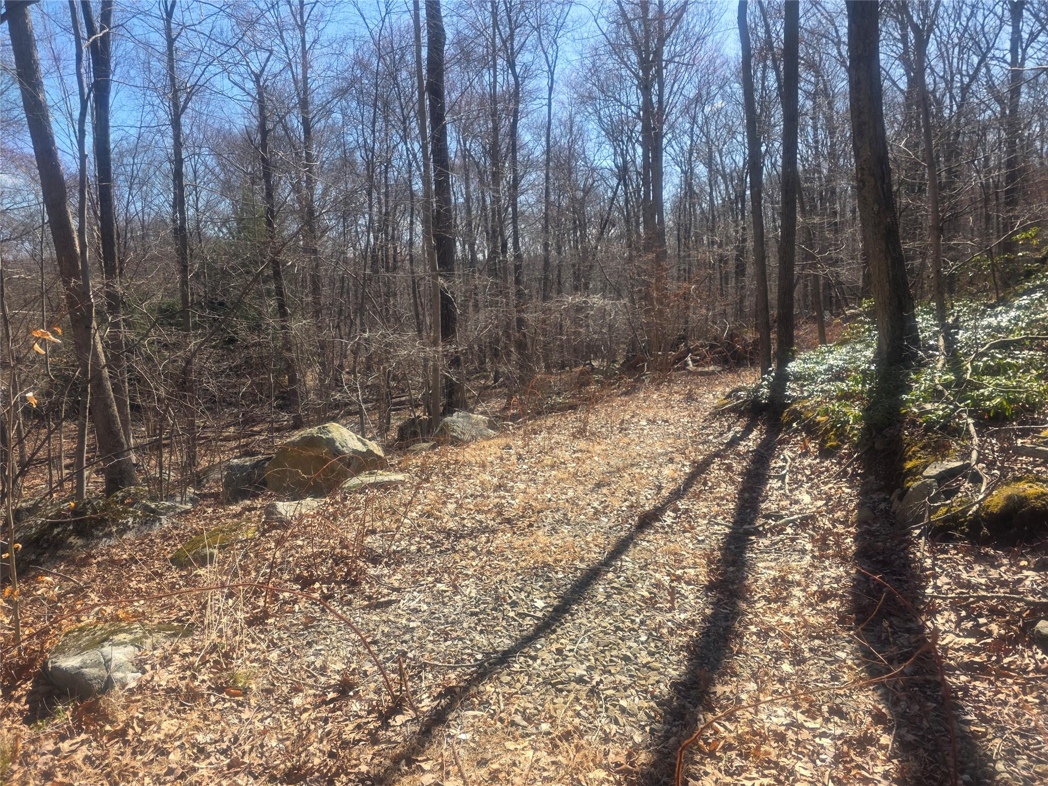 #1 photo, South Road, 紐約州 Holmes , NY 12531