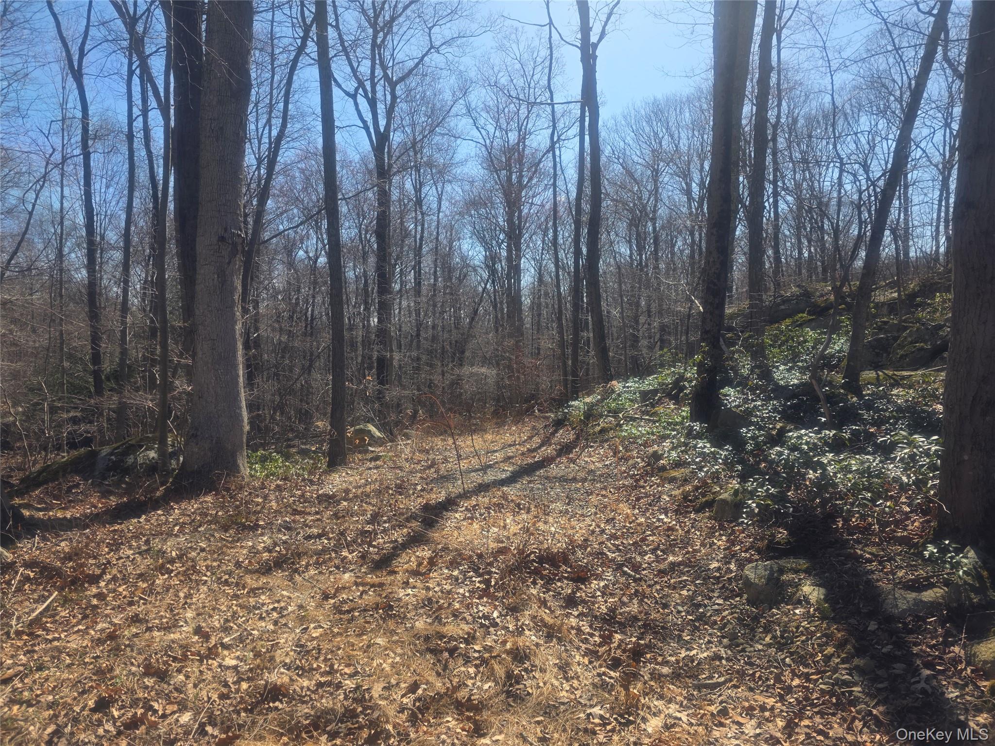 #2 photo, South Road, Holmes , NY 12531