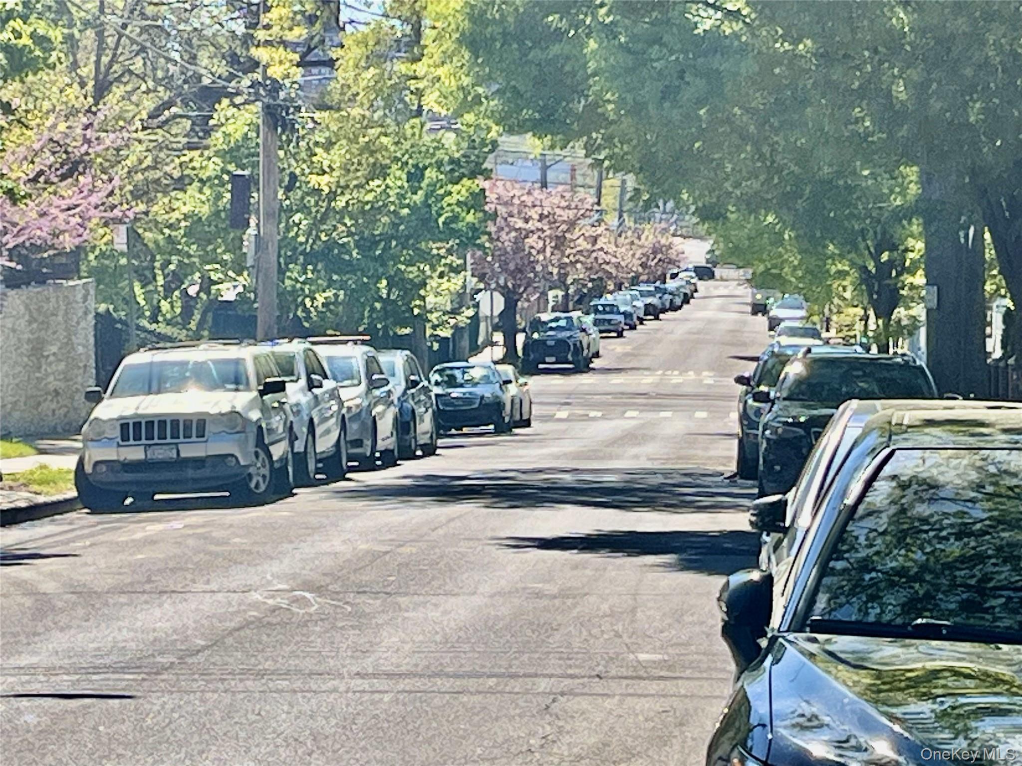 #20 photo, 2130 Hermany Avenue, Bronx , NY 10473