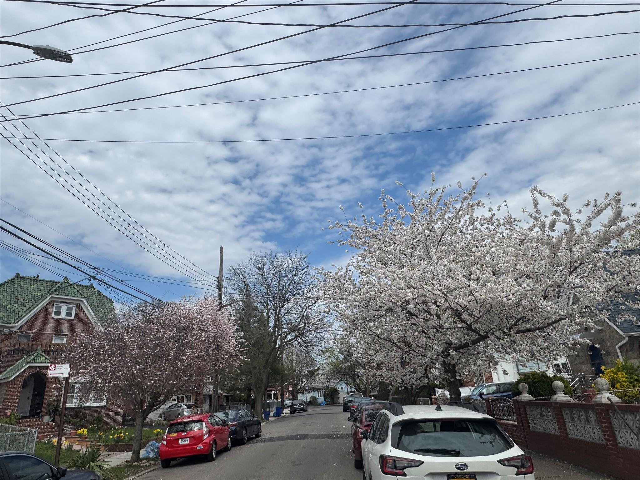 #5 photo, 16116 Normal Road, クイーンズ区 Jamaica , NY 11432