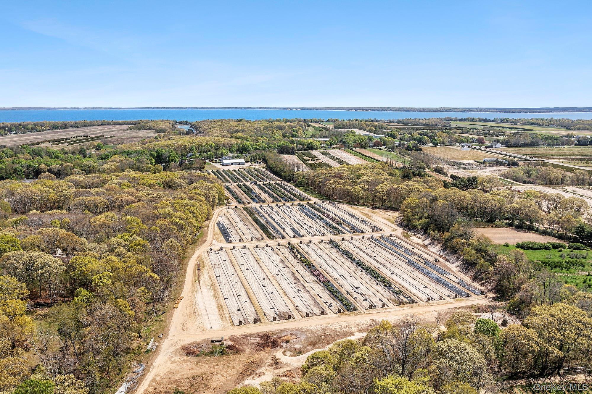 #5 photo, 935 Franklinville Road, サフォーク郡 Laurel , NY 11948