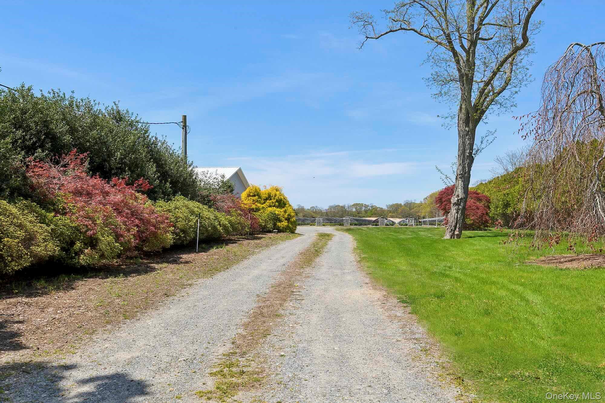 #6 photo, 935 Franklinville Road, サフォーク郡 Laurel , NY 11948