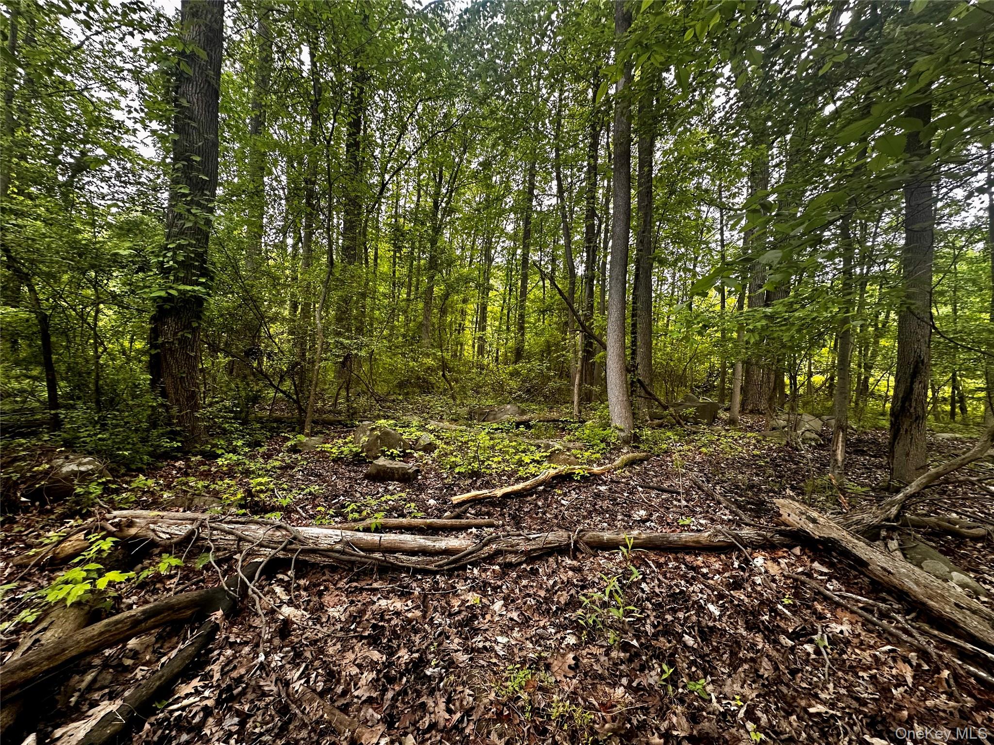 #10 photo, 28 Ludlow Lane, Palisades , NY 10964