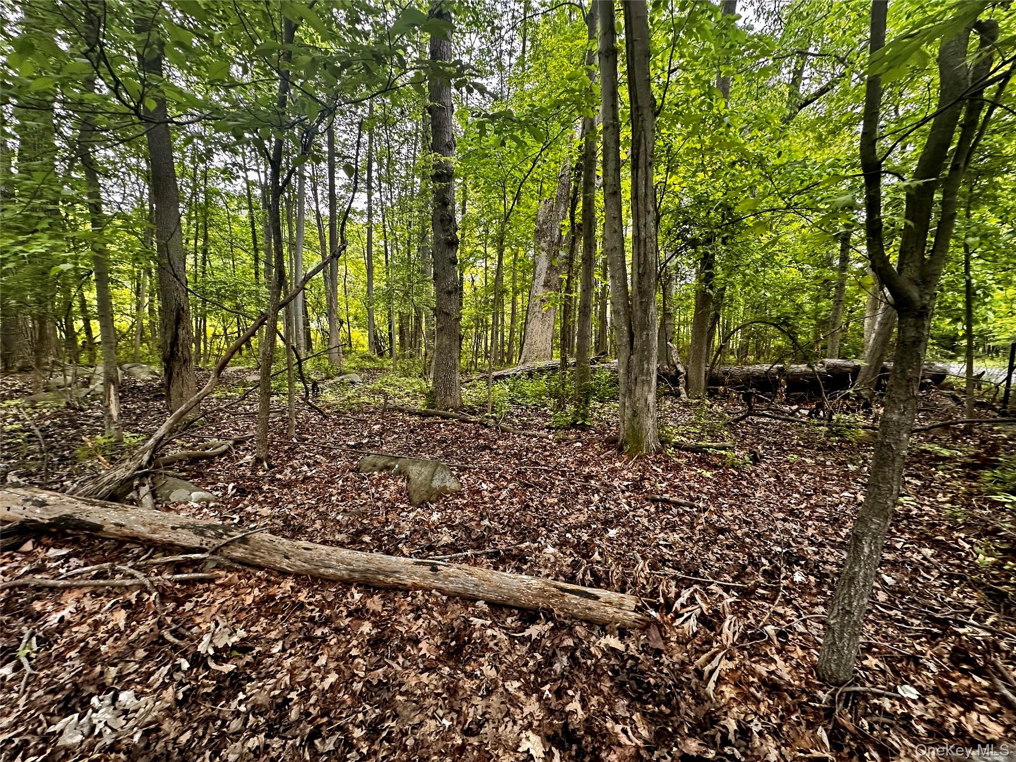 #11 photo, 28 Ludlow Lane, Palisades , NY 10964