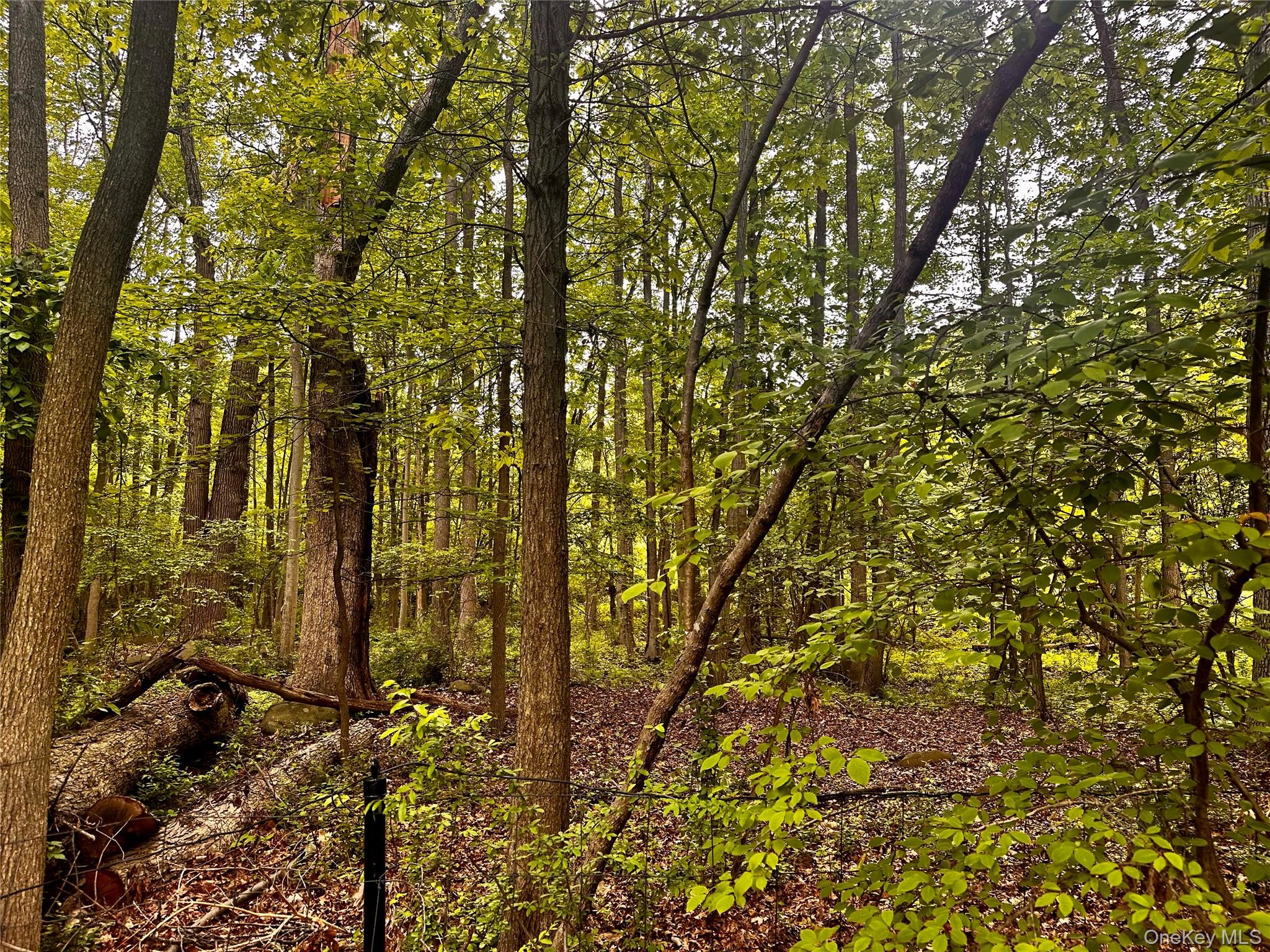 #8 photo, 28 Ludlow Lane, Palisades , NY 10964