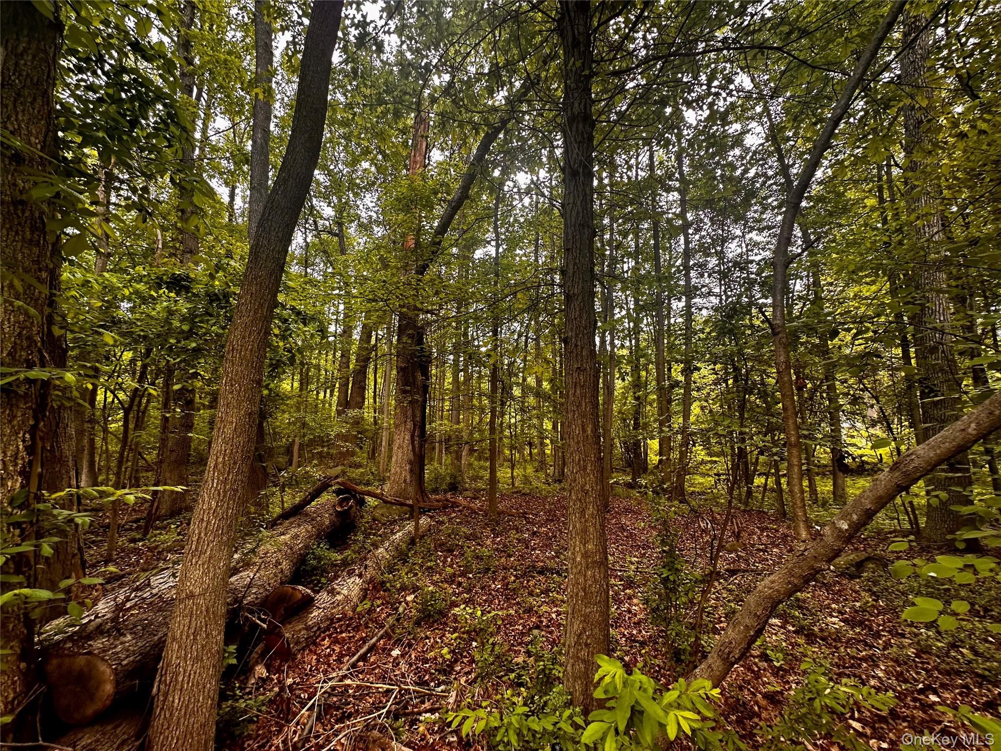 #9 photo, 28 Ludlow Lane, Palisades , NY 10964