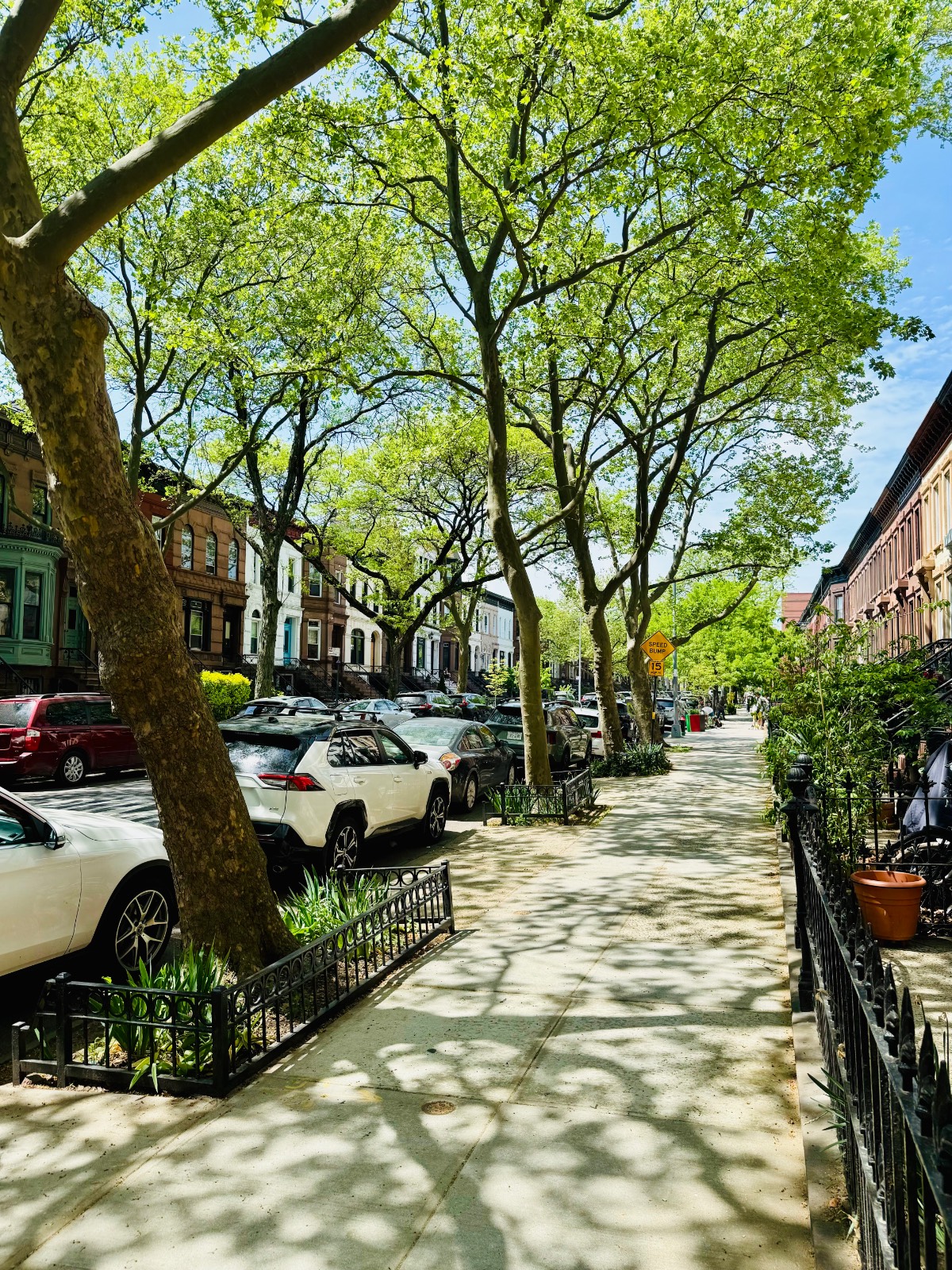 #11 photo, 571 Macdonough Street, #2, ブルックリン区 Bedford-Stuyvesant , NY 11233