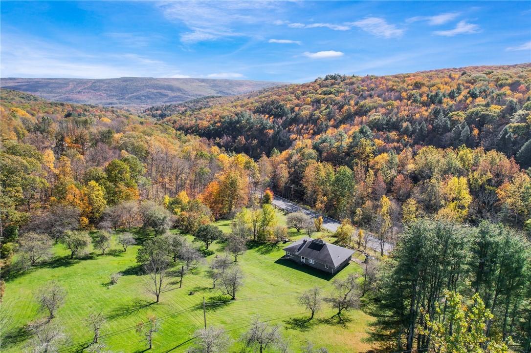 #8 photo, 6204 Route 52, Ellenville , NY 12428