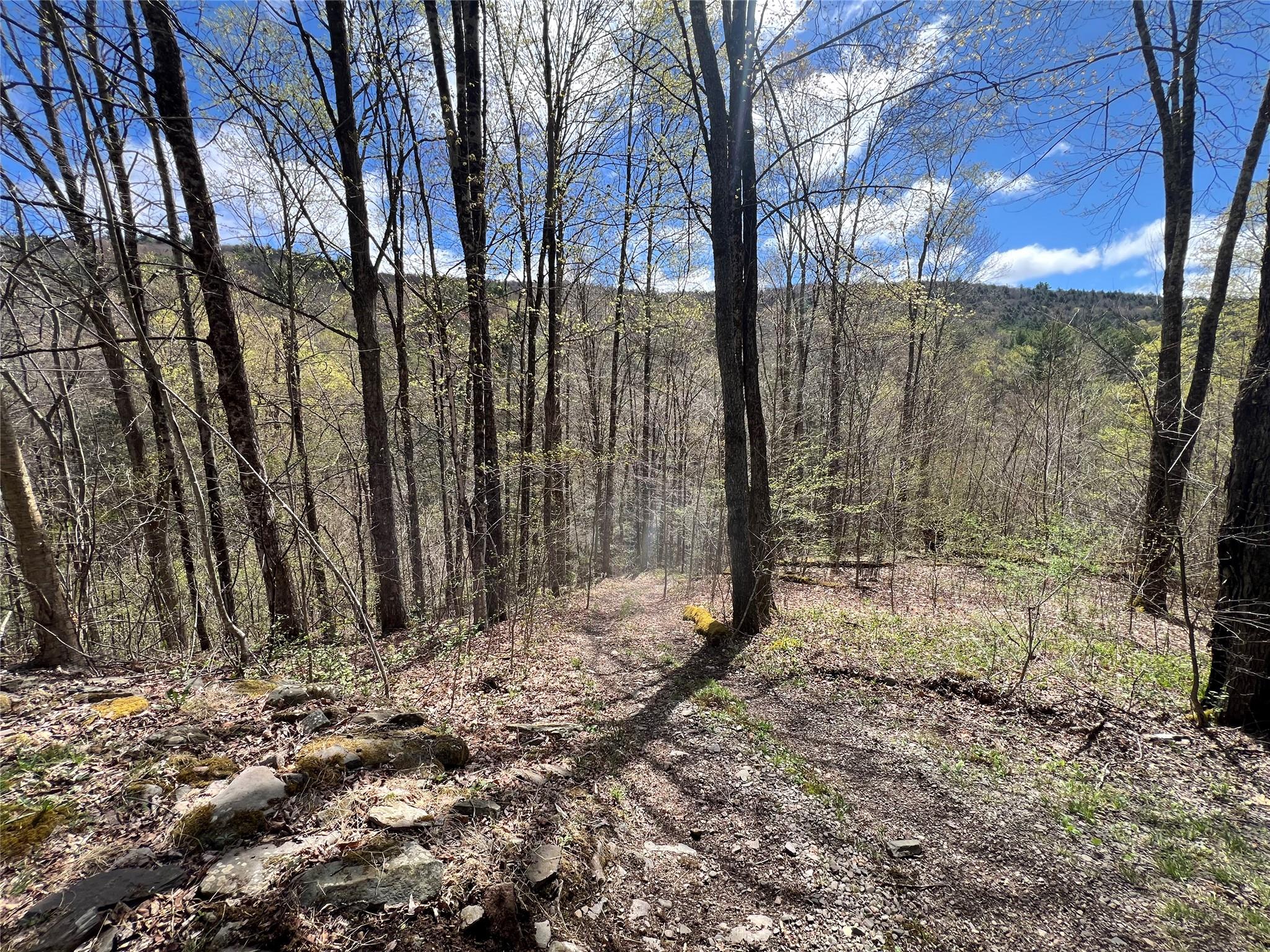 #4 photo, 1042 Huntley Hollow Road, Delancey , NY 13752