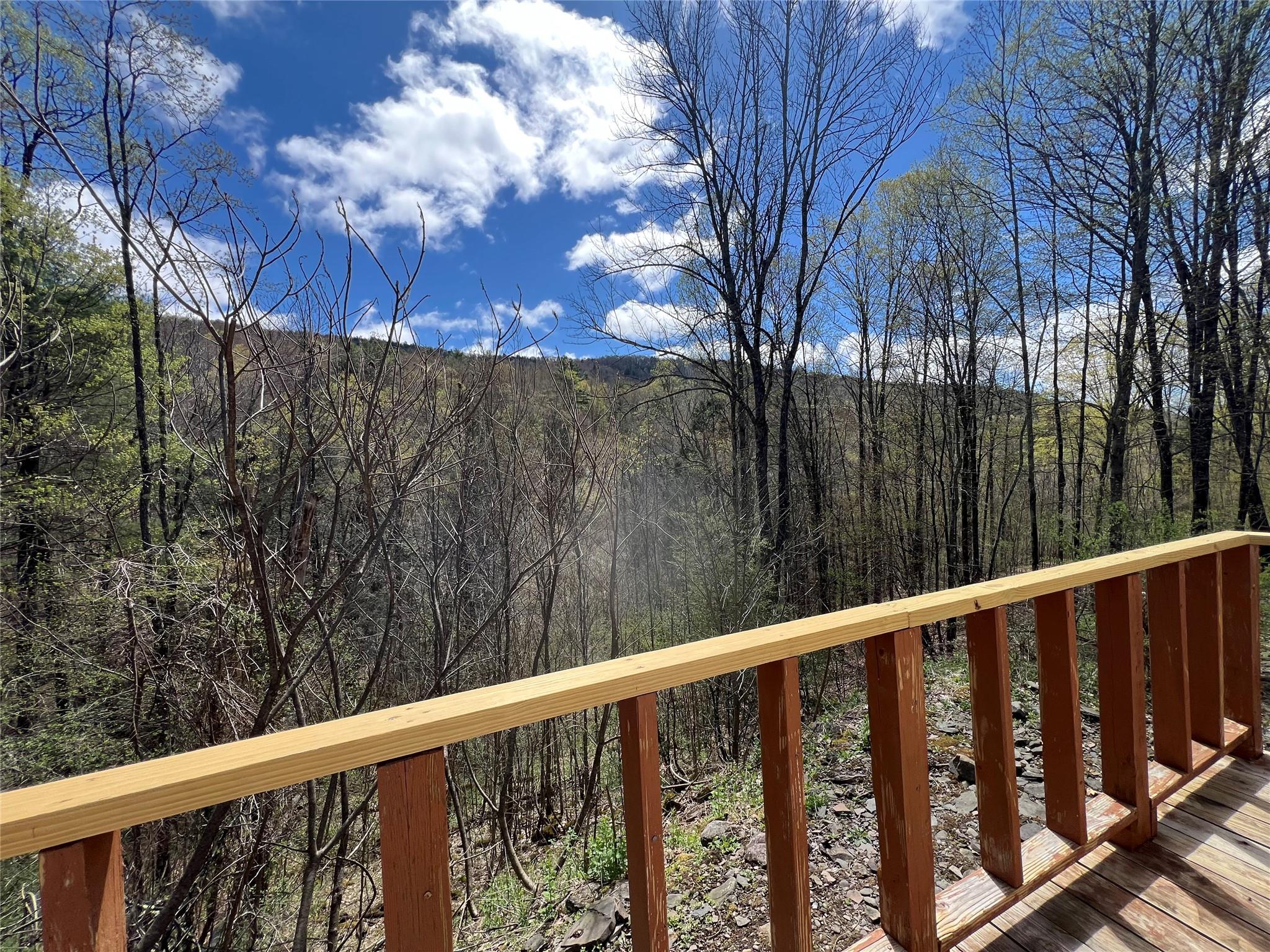 #6 photo, 1042 Huntley Hollow Road, Delancey , NY 13752