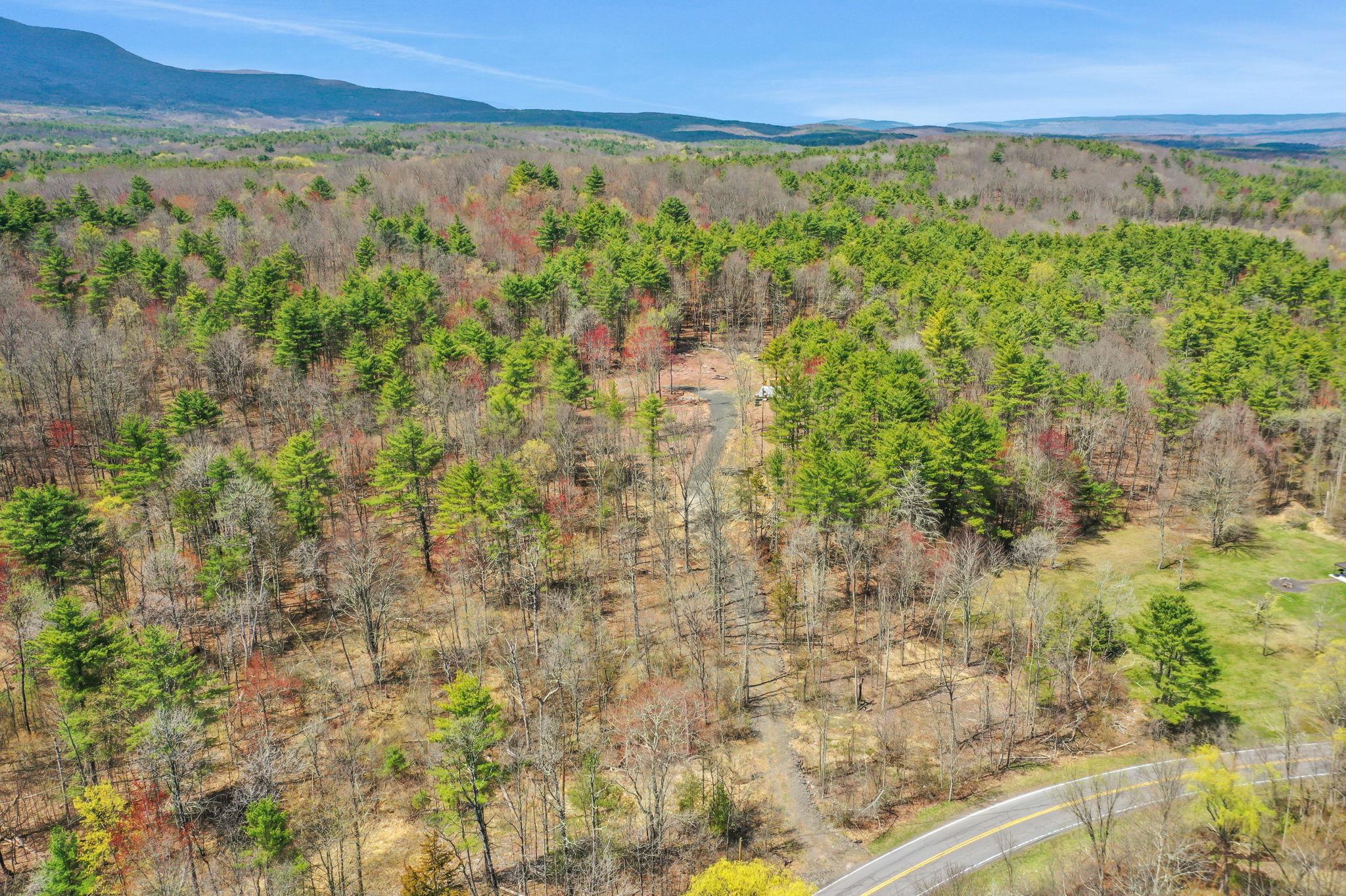 #6 photo, 156 Roosevelt Avenue, Cairo , NY 12413