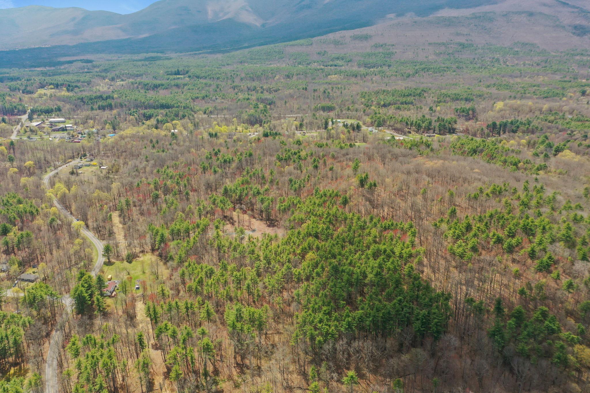 #2 photo, 00 Roosevelt Avenue, Cairo , NY 