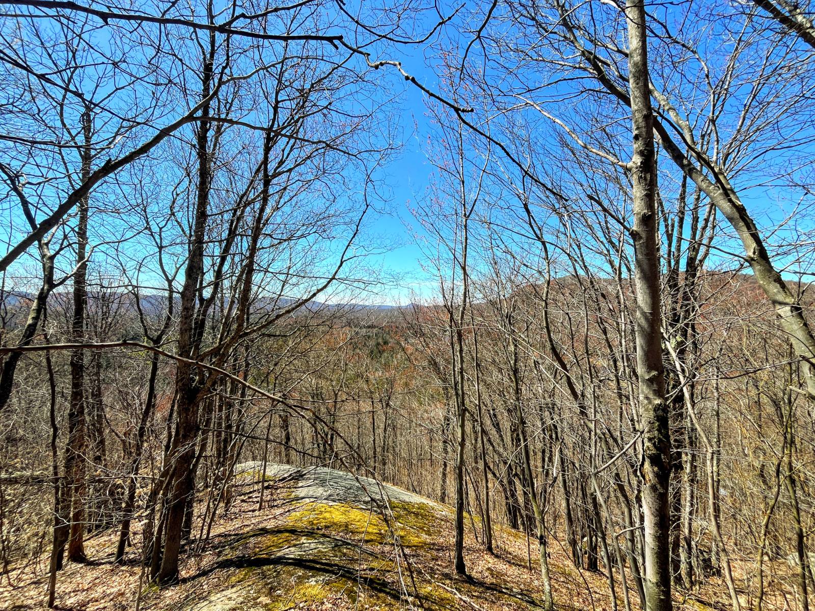 #2 photo, 5096 Blue Mountain Rd, Saint Regis Falls , NY 12980